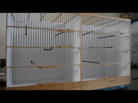 Большие пластиковые боксы.