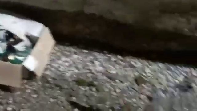 Пробролись на заброшенный хим-склад. Жесть и ужас того чего там увидели. Что там???? смотреть онлайн