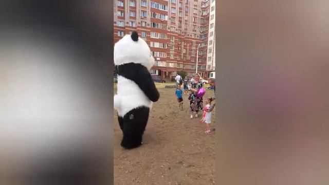 Поздравление маленькой принцессы с днём рождения! Аэромедведь. Ростовой медведь. г. Уфа.