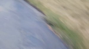 УХОД ЗА САДОВОЙ ДОРОЖКОЙ