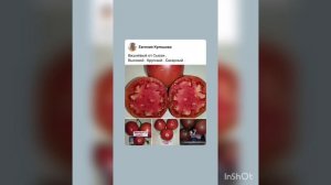 Краткий обзор томатов Кубинский салями , Вишнёвый от Сьюзи и Абраказебра .