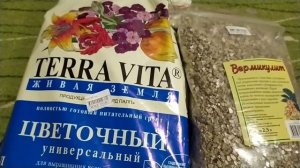 ФИАЛКИ. ПЕРЛИТ ИЛИ ВЕРМИКУЛИТ? ГРУНТ ДЛЯ ФИАЛОК.