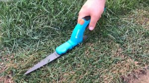 На какую высоту стричь мятлик? 3-5-10 см? Узнай тут!