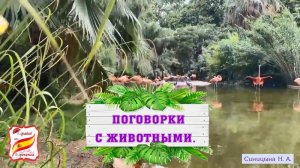 109. Поговорки с животными.