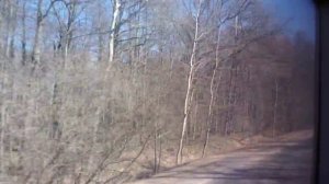 Автобус "Жилево - Новое Ступино"