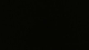 пью за тех кто служит!!!