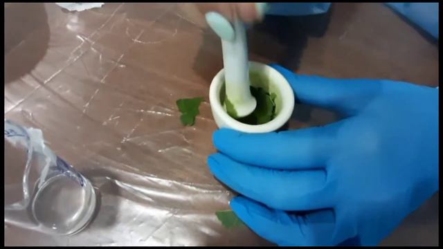 Один день из жизни в ЛАГЕРЕ🌄 | ROOM TOUR | где мы живём? | лекции ✍️ смотреть онлайн