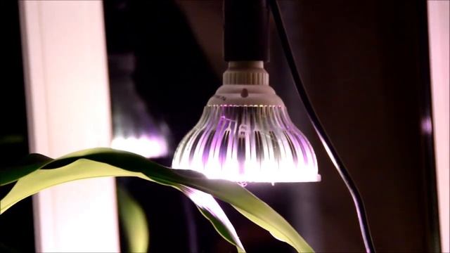 Фитолампы и комнатные растения. Замечательное подспорье! смотреть онлайн