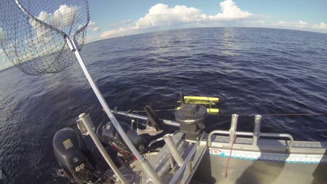 Роспуск планера (катюши) на троллинге смотреть онлайн