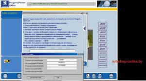 Инструкция по установке и активации PP2000, программа для Peugeot