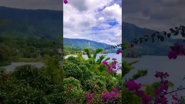 Must Visit! Gorgeous Views and Cold Juice in Lake Toba - Reggae Guesthouse