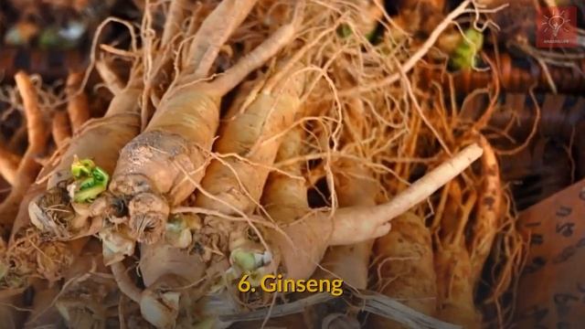 10 Tips to Naturally Regrow Your Hair | Amazing Life смотреть онлайн