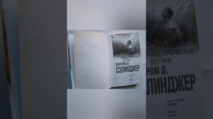 "Над пропастью во ржи" Краткий пересказ