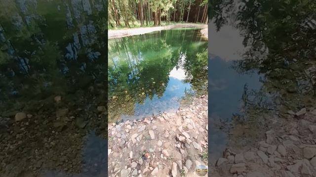 ЖК «Солнцево Парк»  Боровский парк