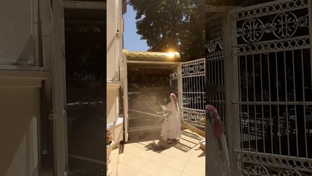 Крещение Руси. День святого равноапостольного князя Владимира смотреть онлайн