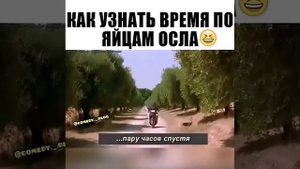 Лайфхак, как узнать время по яйцам осла!