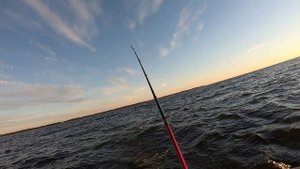 Рыбалка на Финском заливе. Мелкий судак.mp4