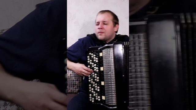 Цвет настроения СИНИЙ #баян #баянист #топбаянист #accordion #музыканабаяне #игранабаяне #набаяне