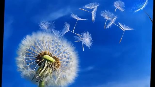 Андрей Углов Осень жизни смотреть онлайн