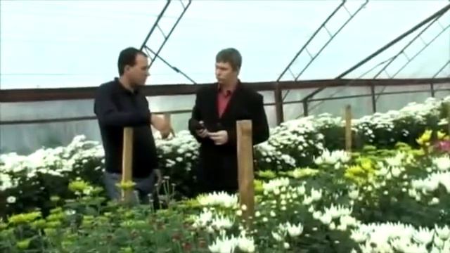 Цветы  Опытом делятся профессионалы часть 2