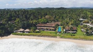 Villa Frangipani Tree - Talpe, Sri Lanka