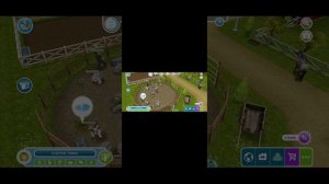 THE SIMS FREEPLAY REPAIR THE SHOW JUMPING GATE