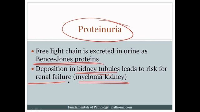 Pathoma USMLE - VI ГЛАВА - 6.Нарушения Плазматических Клеток, гистиоцитоз клеток Лангерганса