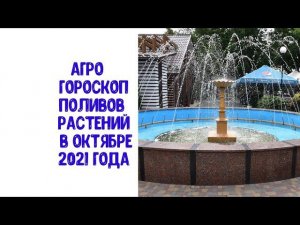 Агрогороскоп поливов растений в октябре 2021 года