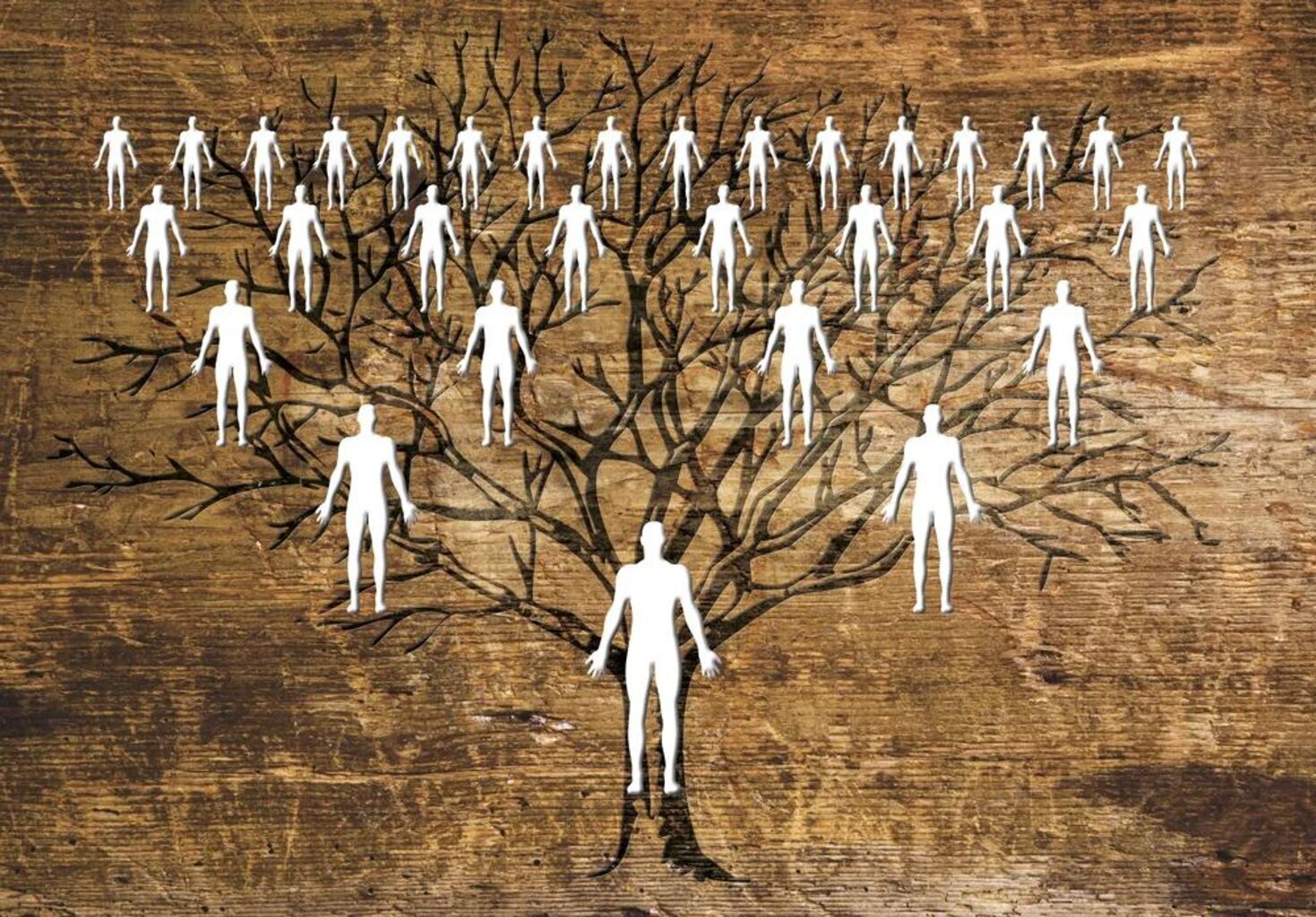 Роль предков в нашей жизни. Род расстановки. Род человеческий. Расстановка людей. Человек из дерева.