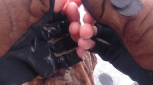 ГДЕ и КАК в КАКИХ МЕСТАХ  ловить плотву. Ловля плотвы зимой.