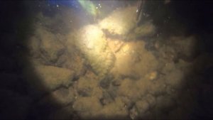 Подводная охота на угря. Угорь. Линь. Spearfishing. Eel. Tench. 2020