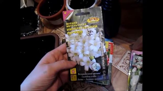 мои цветы смотреть онлайн