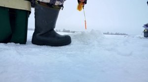ЗИМНЯЯ РЫБАЛКА НА СУДАКА И БЕРША. Река КАМА