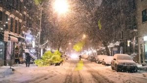 Н. Караченцов - Кленовый лист