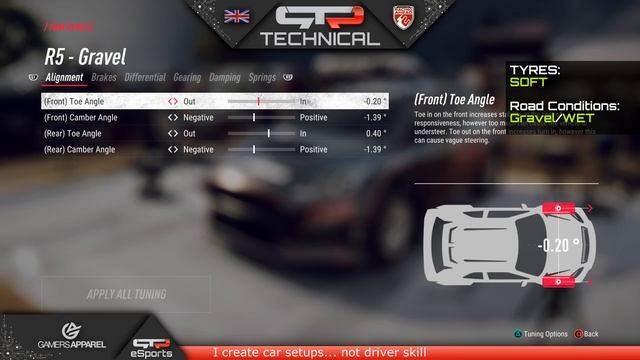 Ford Fiesta R5 MkII 2019 | New Zealand SETUP | DiRT Rally 2.0
