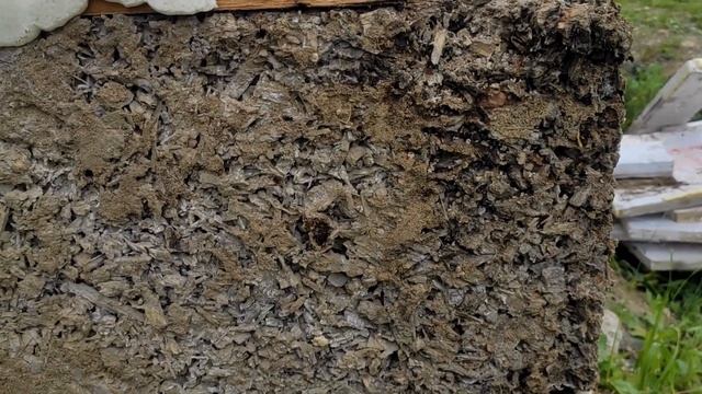 МУРАВЬИ в Арболите. (ANTS in the Arbolit.) смотреть онлайн