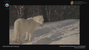 ГРАН-ПРИ – «Пони-терапевт» –  Ангелина Андрийчук (г. Балашиха)