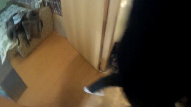 Сдам ( Сниму ) 1 комнатную квартиру в Самаре, ул.Дыбенко 157. Код 101440 смотреть онлайн