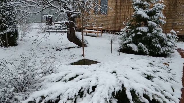 ДАЧА мечты / Приехали открывать сезон, а тут - сюрприз!