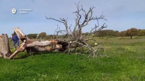 Придурки с бензопилами 80 лвл.