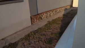 Москвич 408 ИЭ//Отлично Сохраненный Авто