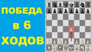 Шахматы. ДЕБЮТНАЯ КАТАСТРОФА. РАЗГРОМ в 6 ХОДОВ. Школа шахмат d4-d5.