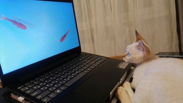 Фильм 18+