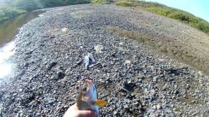 Рыбалка на хариуса Отличный клев Хариус