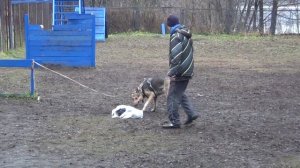 ЗКС - охрана вещей. Дрессировка.