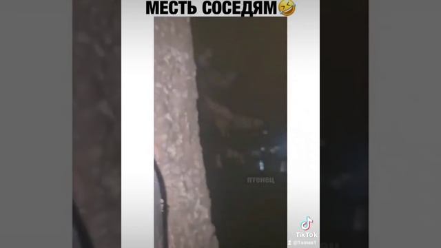 МЕСТЬ ШУМНЫМ СОСЕДЯМ #соседи #шумные_соседи