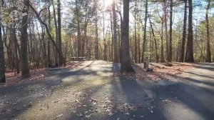 A Virginia State Park Mystery and a Waterfall Hike