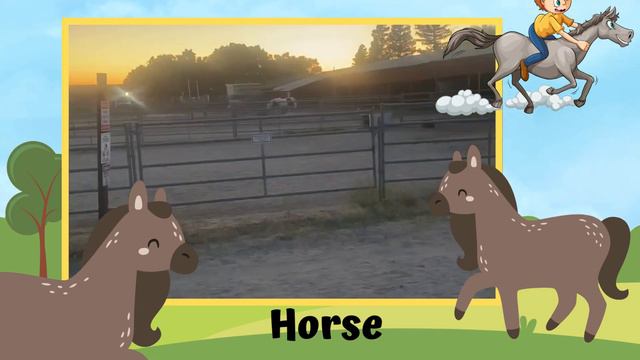 Belle's Visit to Gibson Ranch Farm смотреть онлайн