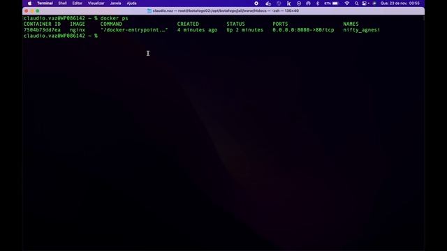 DOCKER - 13 COMANDOS ESSENCIAIS PARA ADMINISTRAÇÃO DE CONTAINERS, SIMPLES E OBJETIVO ! смотреть онлайн