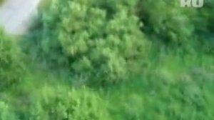 Дача Аллы Пугачевой на Истре